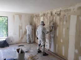 Best Real Estate Mold Inspection  in Foley, AL